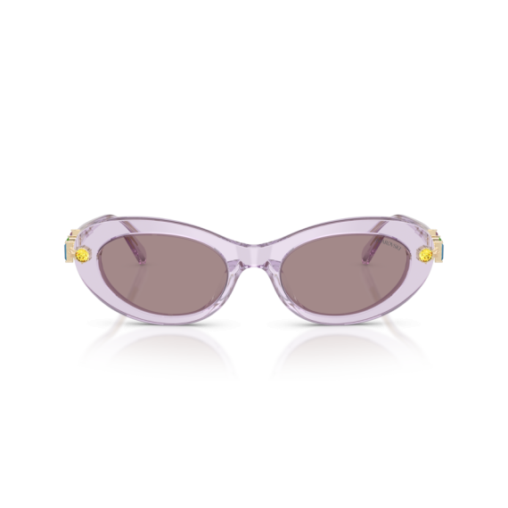 Swarovski SK 6042 1079LA Güneş Gözlüğü