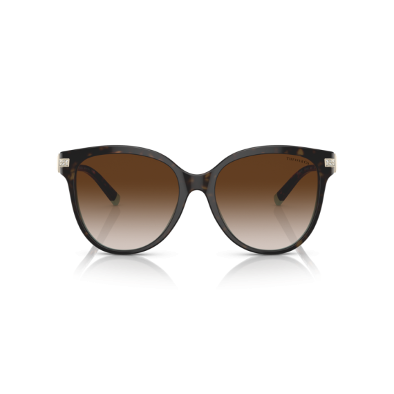Tiffany TF 4193B 81343B Güneş Gözlüğü