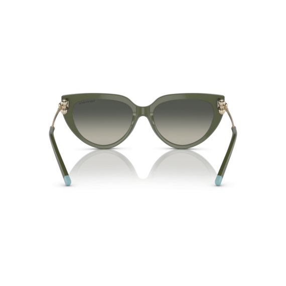 Tiffany TF 4195 835811 Güneş Gözlüğü