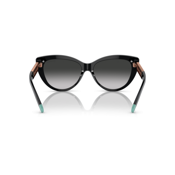 Tiffany TF 4196 80013C Güneş Gözlüğü