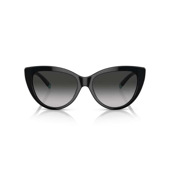 Tiffany TF 4196 80013C Güneş Gözlüğü