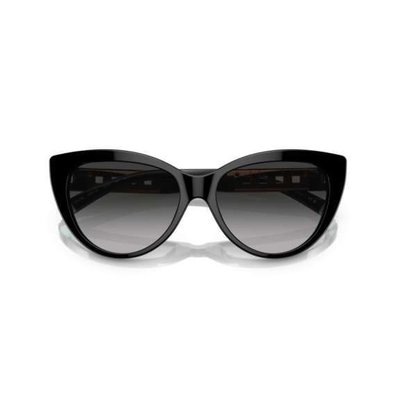 Tiffany TF 4196 80013C Güneş Gözlüğü