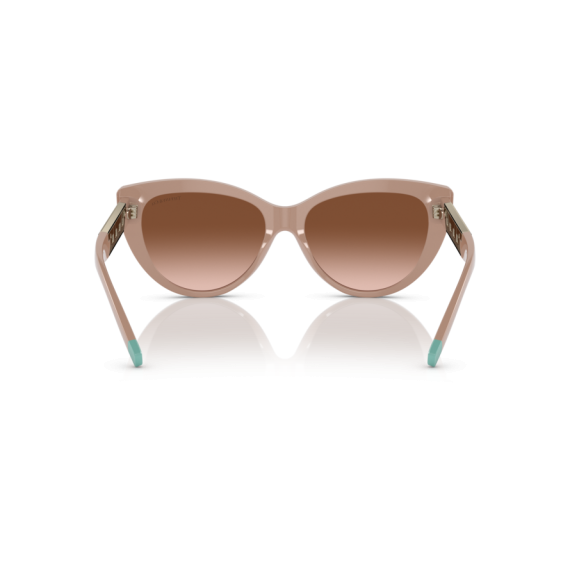 Tiffany TF 4196 83523B Güneş Gözlüğü