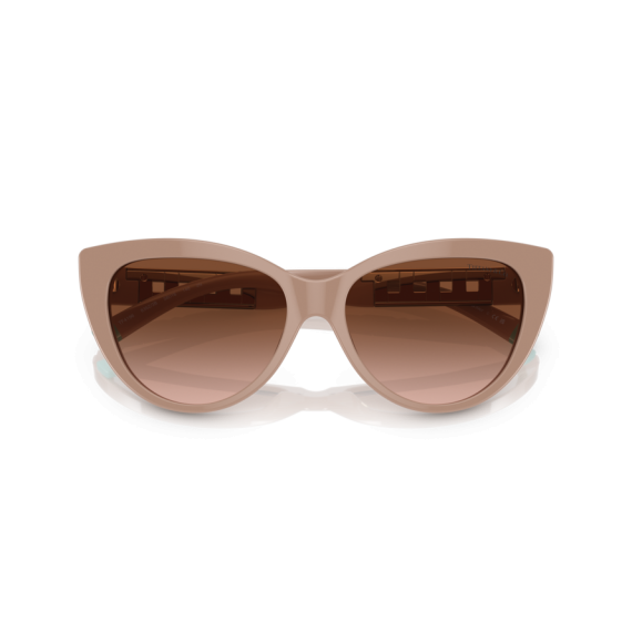 Tiffany TF 4196 83523B Güneş Gözlüğü