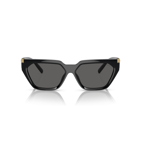 Tiffany TF 4205U 8001S4 Güneş Gözlüğü