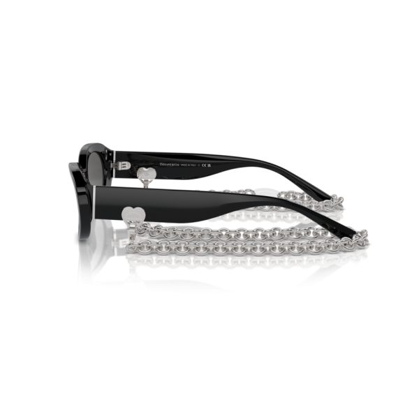Tiffany TF 4221 8001S4 Güneş Gözlüğü