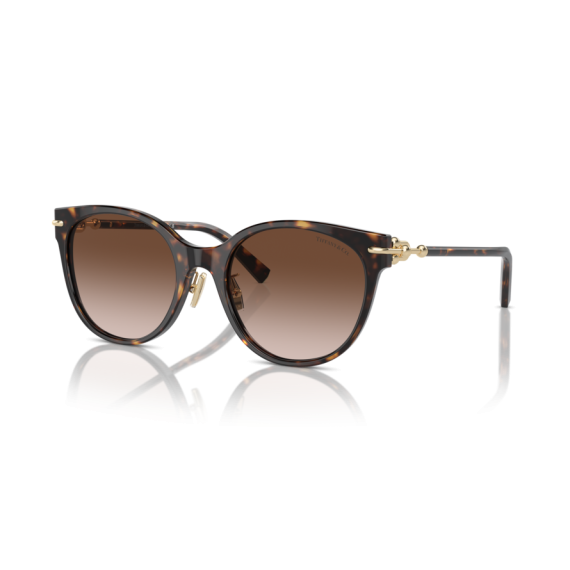 Tiffany TF 4223D 80153B Güneş Gözlüğü