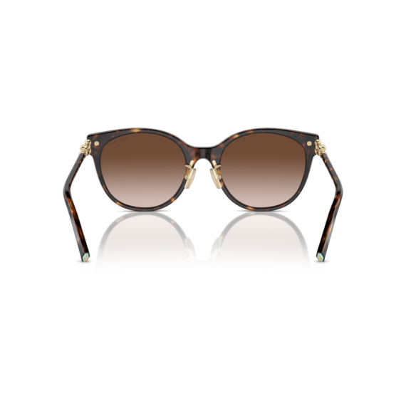 Tiffany TF 4223D 80153B Güneş Gözlüğü