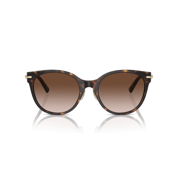 Tiffany TF 4223D 80153B Güneş Gözlüğü