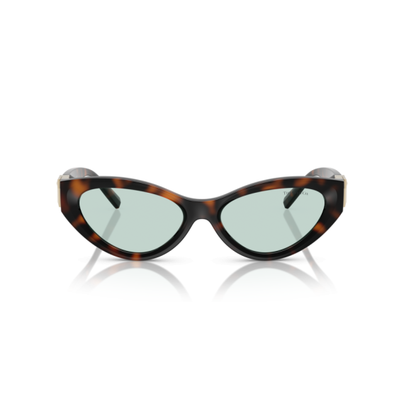Tiffany TF 4225U 8429D9 Güneş Gözlüğü