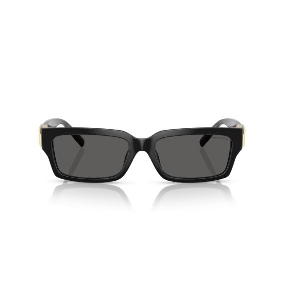 Tiffany TF 4226U 8001S4 Güneş Gözlüğü