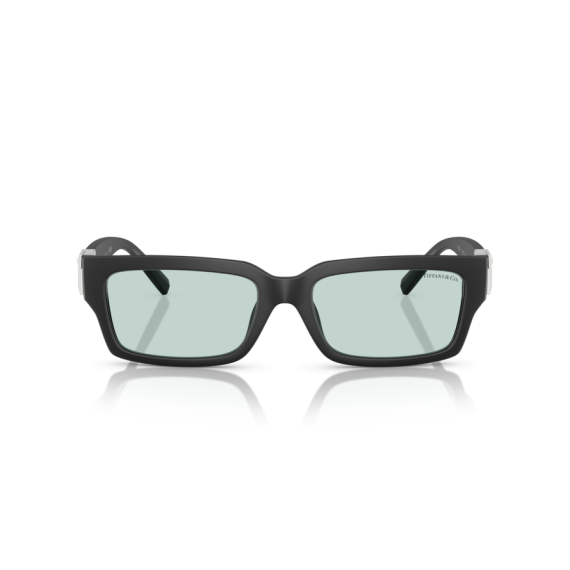 Tiffany TF 4226U 8425D9 Güneş Gözlüğü