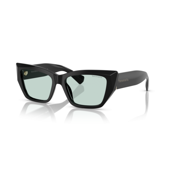 Tiffany TF 4230 8001D9 Güneş Gözlüğü