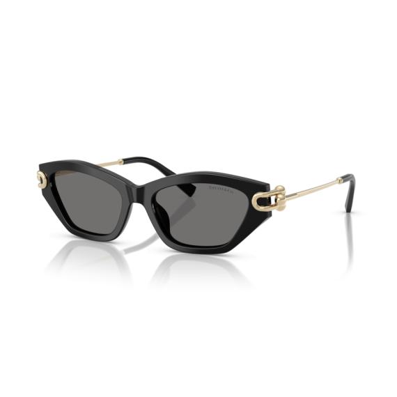Tiffany TF 4231U 800181 Güneş Gözlüğü