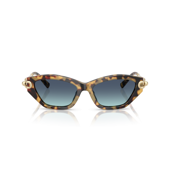 Tiffany TF 4231U 80649S Güneş Gözlüğü
