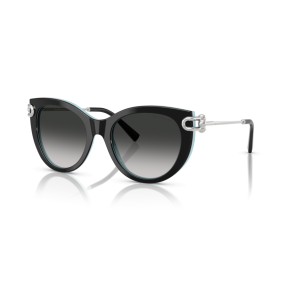 Tiffany TF 4232 80553C Güneş Gözlüğü
