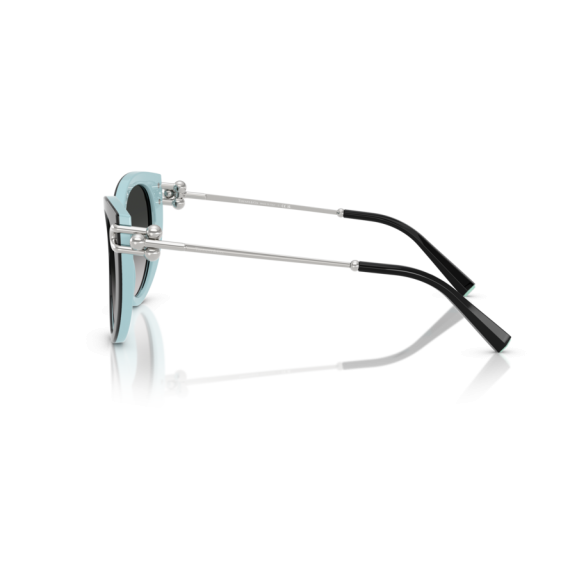 Tiffany TF 4232 80553C Güneş Gözlüğü