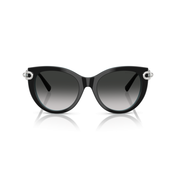Tiffany TF 4232 80553C Güneş Gözlüğü