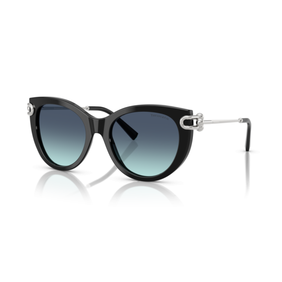 Tiffany TF 4232 83429S Güneş Gözlüğü