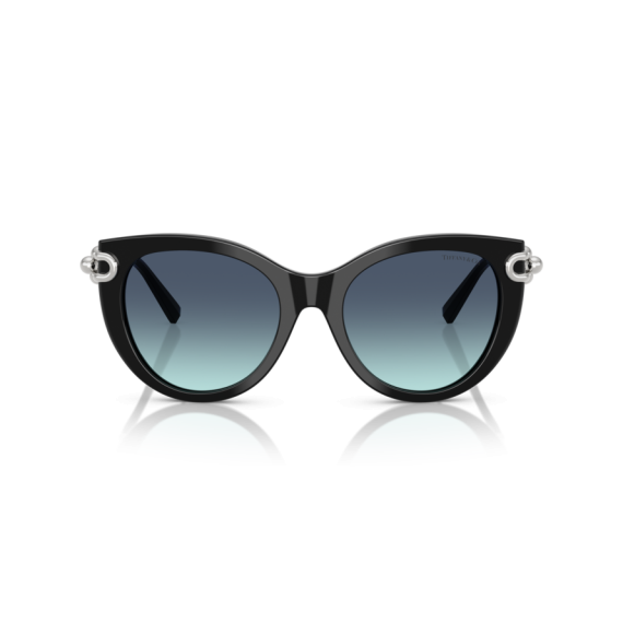 Tiffany TF 4232 83429S Güneş Gözlüğü
