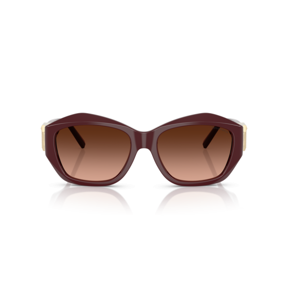 Tiffany TF 4233U 83895M Güneş Gözlüğü