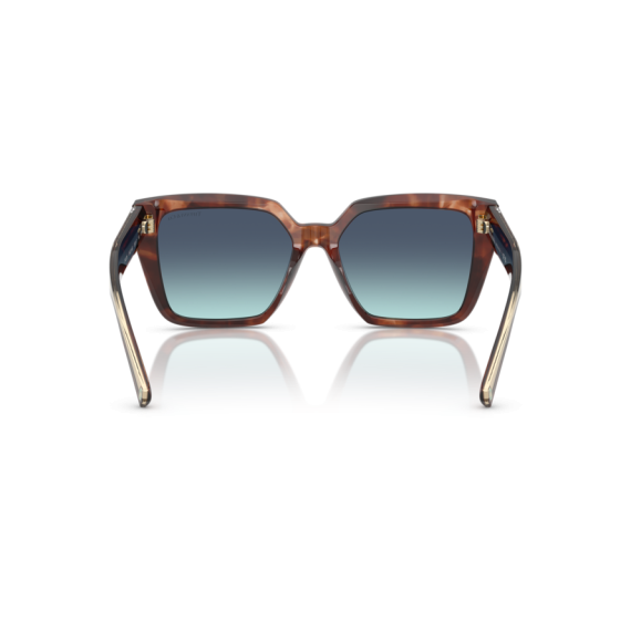 Tiffany TF 4235 84219S Güneş Gözlüğü