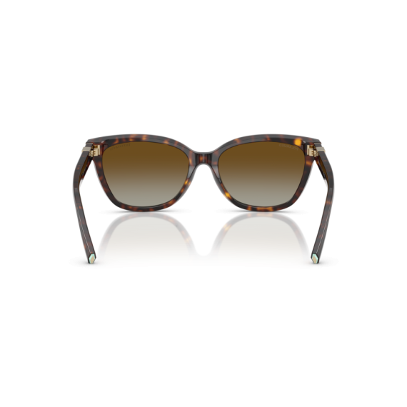 Tiffany TF 4237B 8015T5 Güneş Gözlüğü