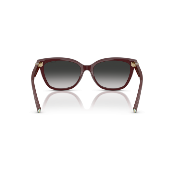 Tiffany TF 4237B 83893C Güneş Gözlüğü