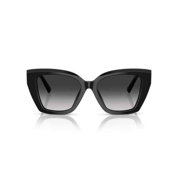 Tiffany TF 4239U 80013C Güneş Gözlüğü