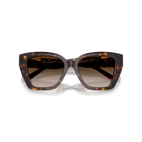 Tiffany TF 4239U 80153B Güneş Gözlüğü