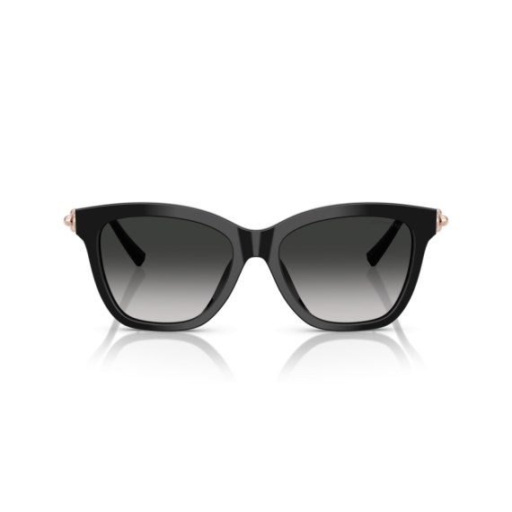 Tiffany TF 4241D 80013C Güneş Gözlüğü