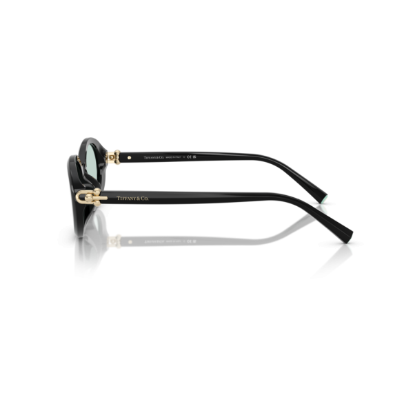 Tiffany TF 4242D 8001D9 Güneş Gözlüğü