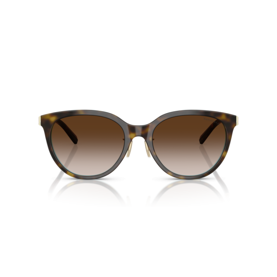 Tiffany TF 4243D 81343B Güneş Gözlüğü