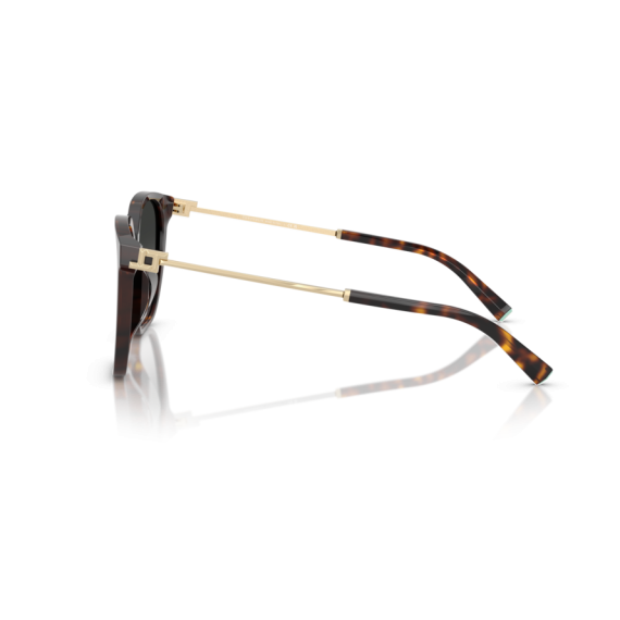 Tiffany TF 4244D 80153C Güneş Gözlüğü