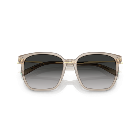 Tiffany TF 4244D 82503C Güneş Gözlüğü