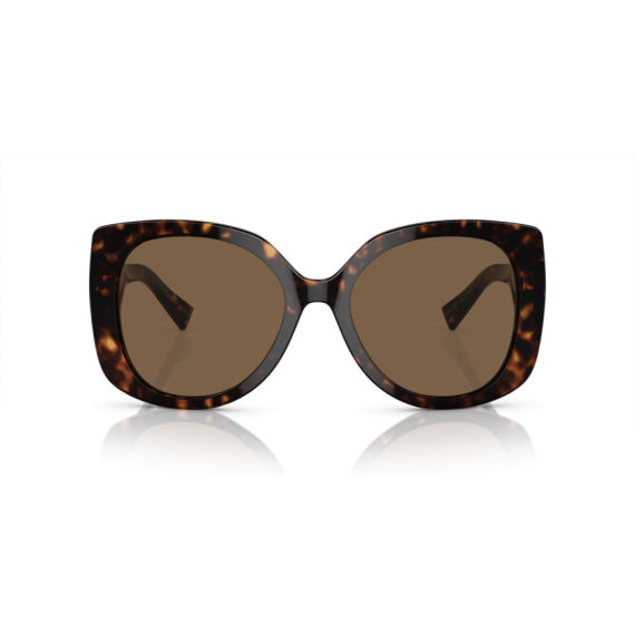 Versace VE 4387 108/73 Güneş Gözlüğü