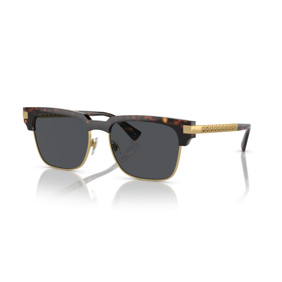 Versace VE 4447 108/87 Güneş Gözlüğü