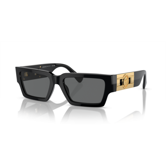 Versace VE 4459 GB1/87 Güneş Gözlüğü