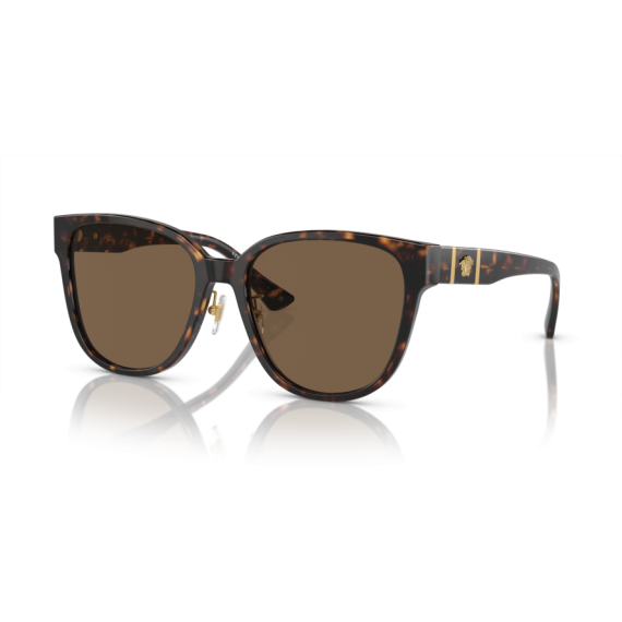 Versace VE 4460D 108/73 Güneş Gözlüğü