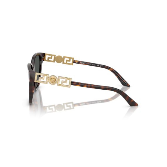 Versace VE 4471B 108/87 Güneş Gözlüğü
