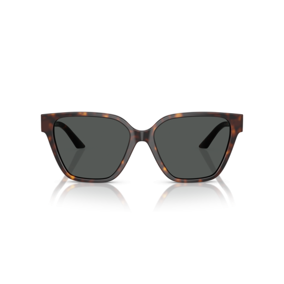 Versace VE 4471B 108/87 Güneş Gözlüğü