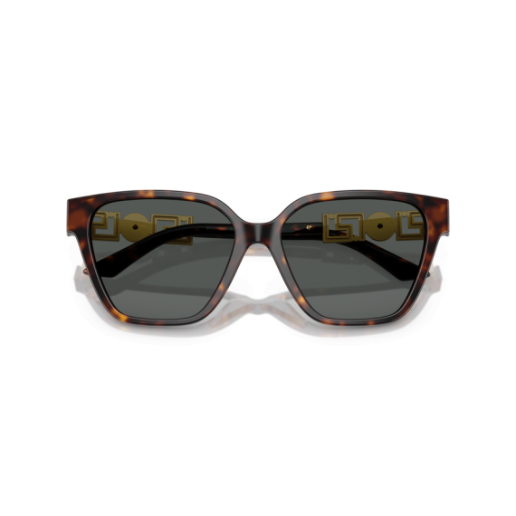 Versace VE 4471B 108/87 Güneş Gözlüğü