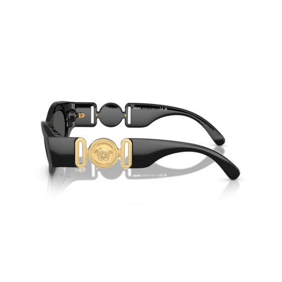 Versace VE 4480U GB1/87 Güneş Gözlüğü