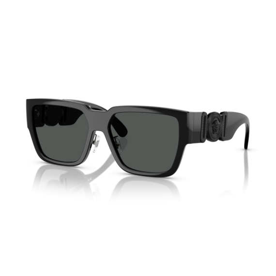 Versace VE 4483D 536087 Güneş Gözlüğü