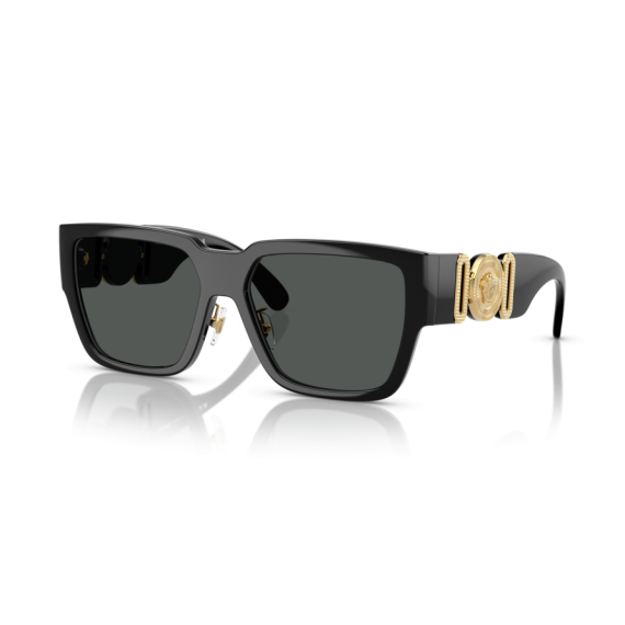 Versace VE 4483D GB1/87 Güneş Gözlüğü