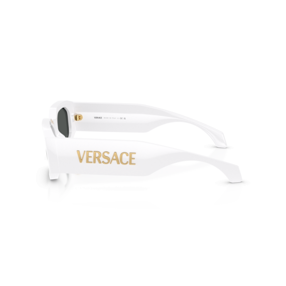 Versace VE 4489U 314/87 Güneş Gözlüğü