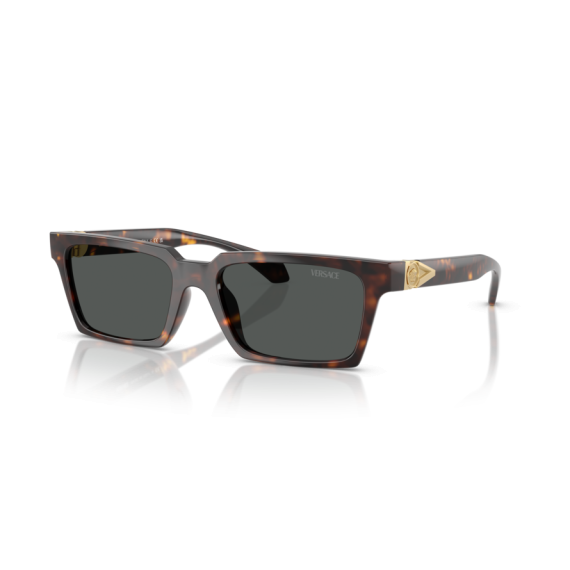 Versace VE 4490U 108/87 Güneş Gözlüğü