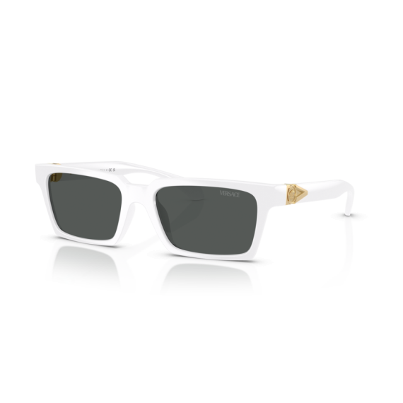 Versace VE 4490U 314/87 Güneş Gözlüğü