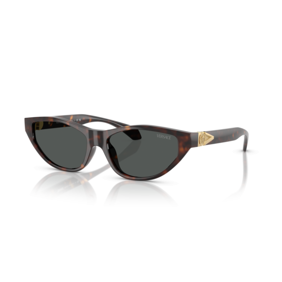 Versace VE 4491U 108/87 Güneş Gözlüğü