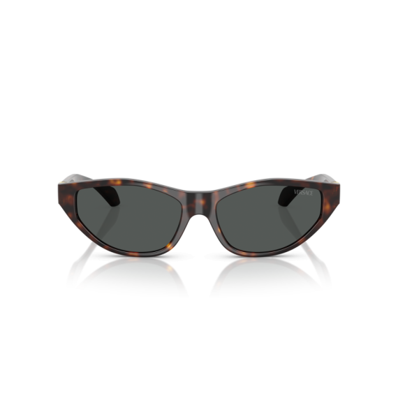 Versace VE 4491U 108/87 Güneş Gözlüğü